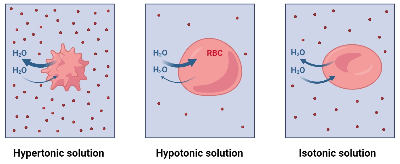 Hypertonic