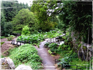 Rock Close Blarney Castle Gardens Republic of Ireland