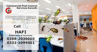 Pest Control Commercial Services Karachi