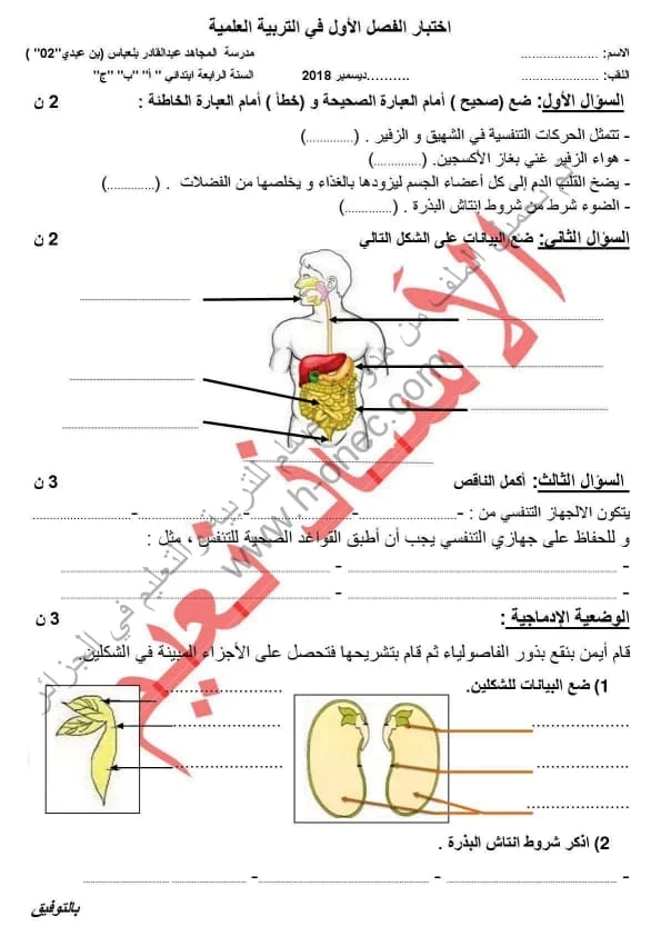 نماذج اختبارات مادة التربية العلمية للسنة الرابعة ابتدائي الفصل الأول الجيل الثاني