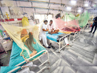 5-children-died-dengue-patna