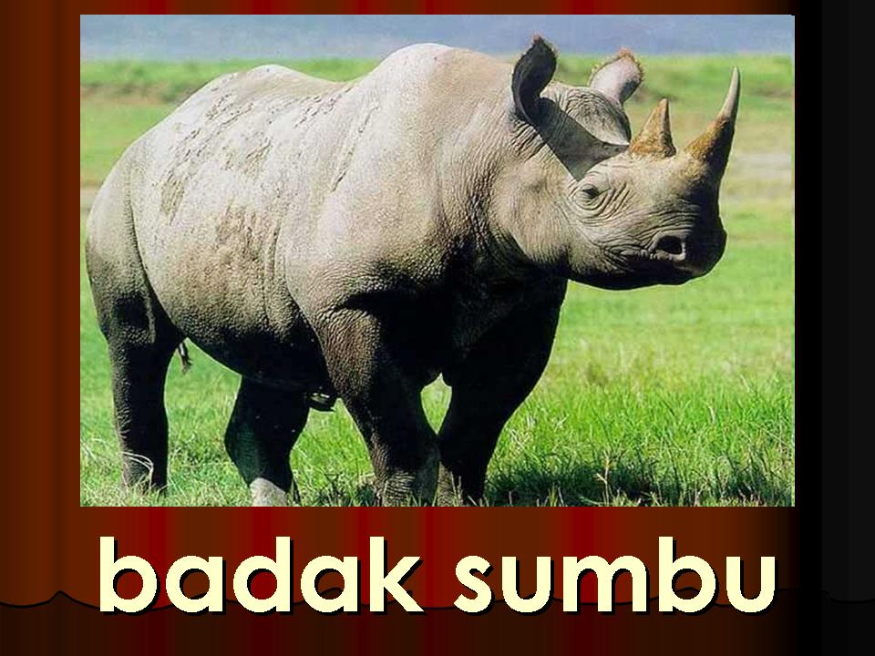 PRASEKOLAH SERI PAGI Jun 2010
