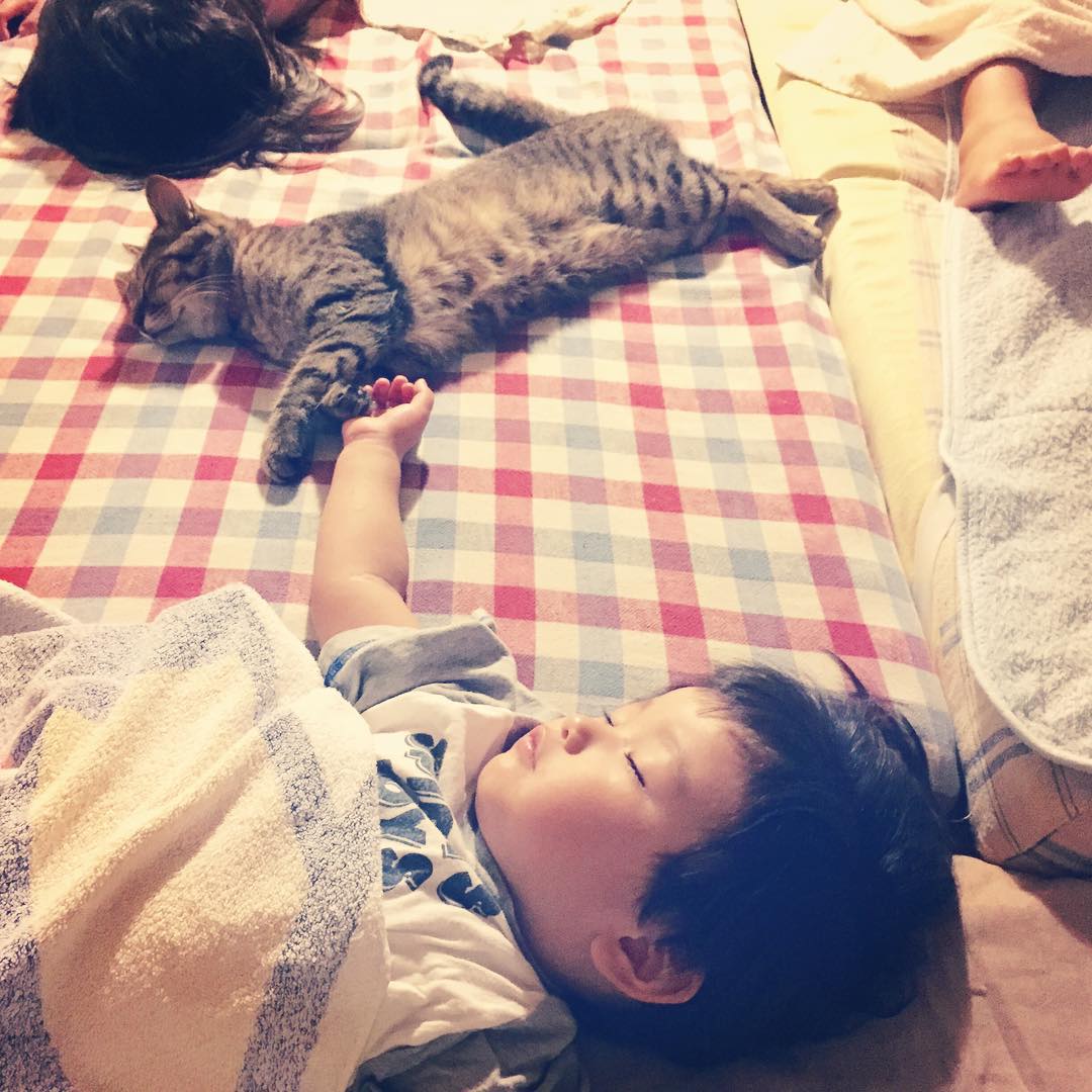 Foto Lucu Kucing Tidur Dengan Anak Kecil Di Jepang Info Terkini