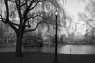 photo of Public Garden, Boston, MA