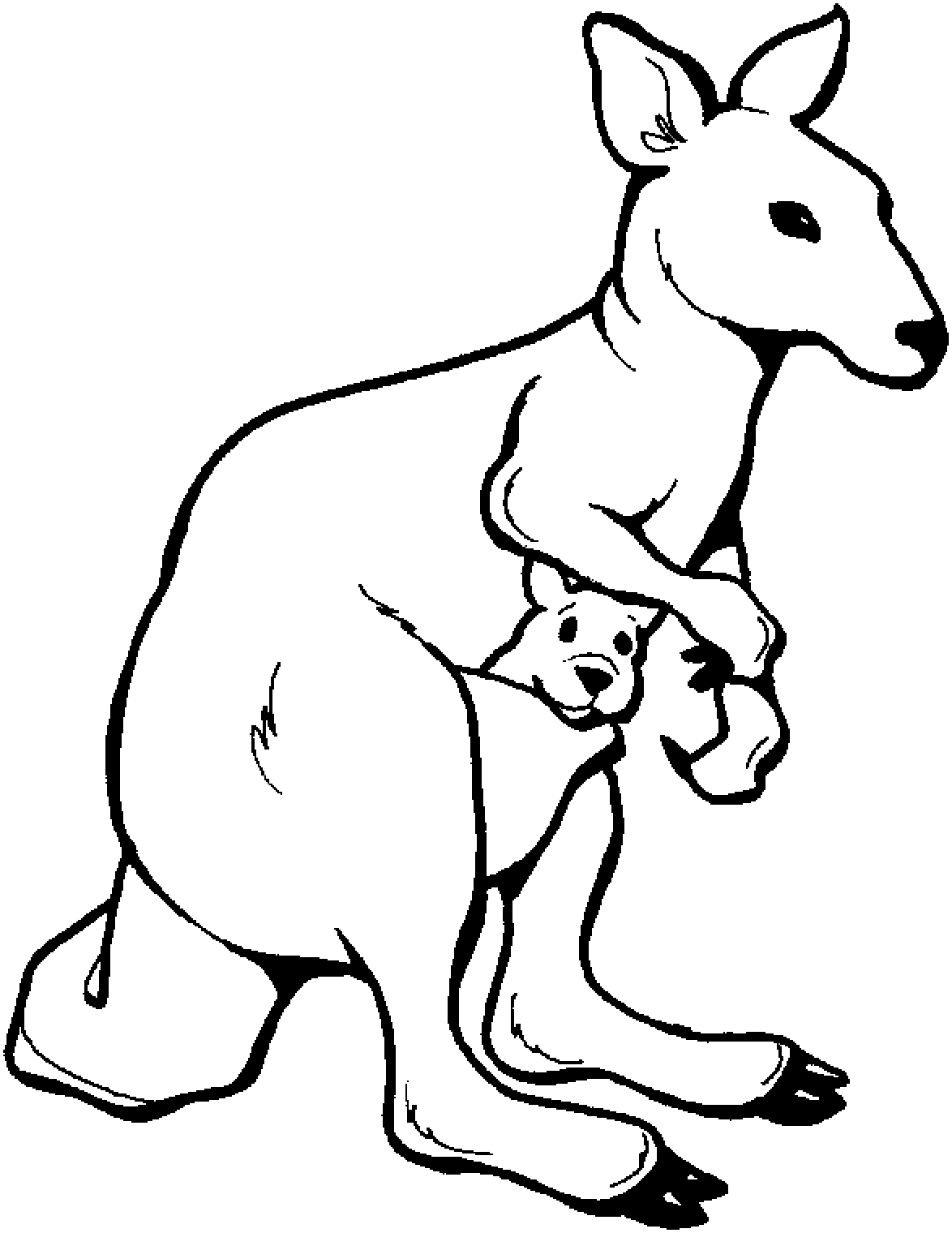 Cute Kangaroo Holds Its Kid Colour Drawing HD Wallpaper