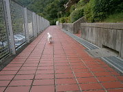 2012年8月22日水曜日