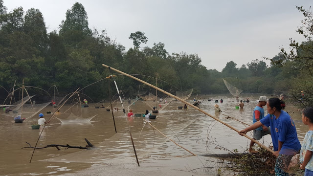 BEKARANG ADALAH TRADISI TAHUNAN BENI 