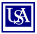 USA Logo