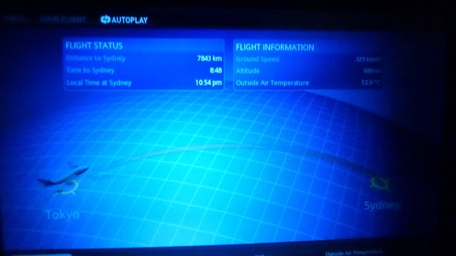 Flight map