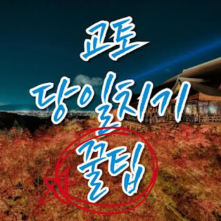 교토 당일치기, 오사카 교토 여행, 교토 여행 코스, 교토 관광지, 기요미즈데라, 아라시야마, 기온 거리, 후시미 이나리 신사, 교토 버스, 교토 교통패스, 일본 자유여행, 교토 맛집, 교토 가볼만한곳