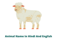 100 Animals Name in Hindi English | जानवरों के नाम हिंदी और इंग्लिश में