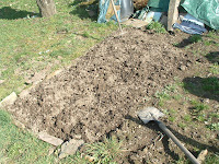 The small potager at our house in Josselin