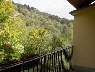 Vista sulla collina alle spalle della casa