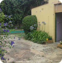 DSC02138