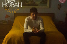 Niall Horan – Too Much to Ask – Single