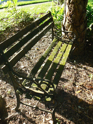 wood tree bench