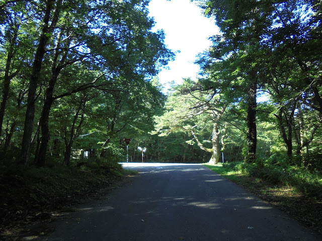 前の道路は24号道路の米子大山線
