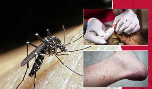 दिल्ली में फिर बढ़ रहे डेंगू और मलेरिया के मामले, जानें इनके लक्षणों में क्या है अंतर