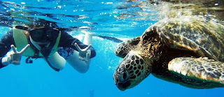 Pulau Panaitan - Tempat Wisata di Ujung Kulon