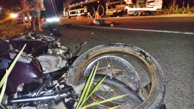 Motociclista e filhotes de cachorro morrem em colisão na BR-101