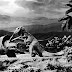 THE NEW CRETACEOUS JOURNEY TO THE TRUTH