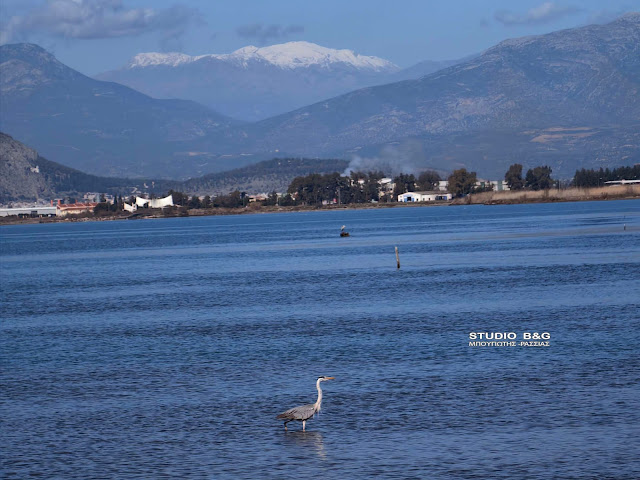 ΑΡΓΟΛΙΔΑ