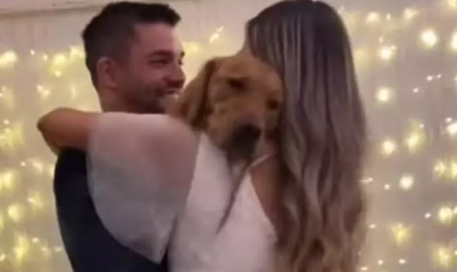 The video of the bride and groom dancing with the dog during the wedding ceremony caused a stir