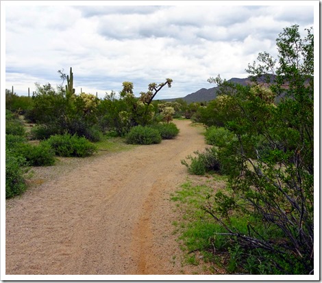 Moon rock hike