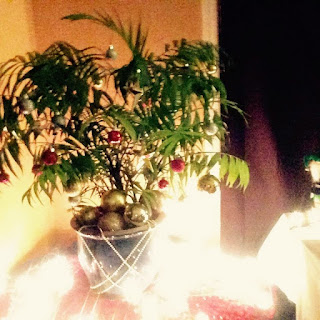 House Plant Christmas Tree