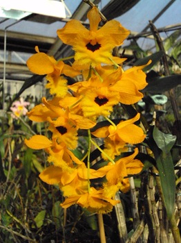 081