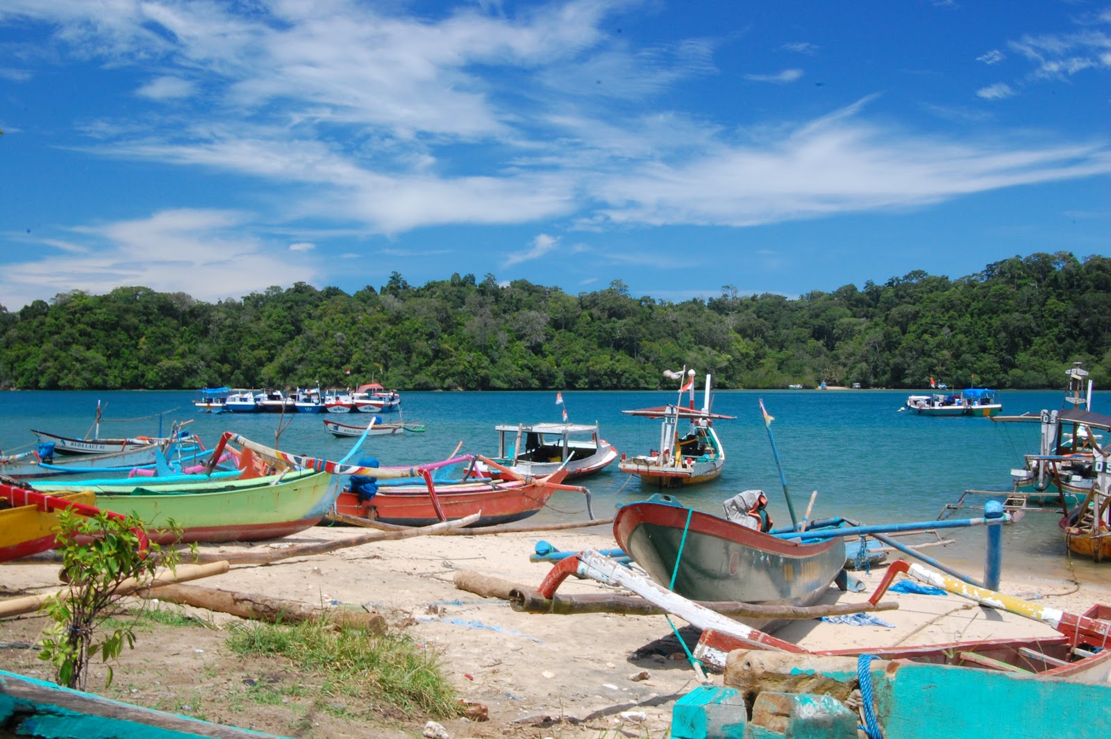 Download this Pulau Sempu Malang picture