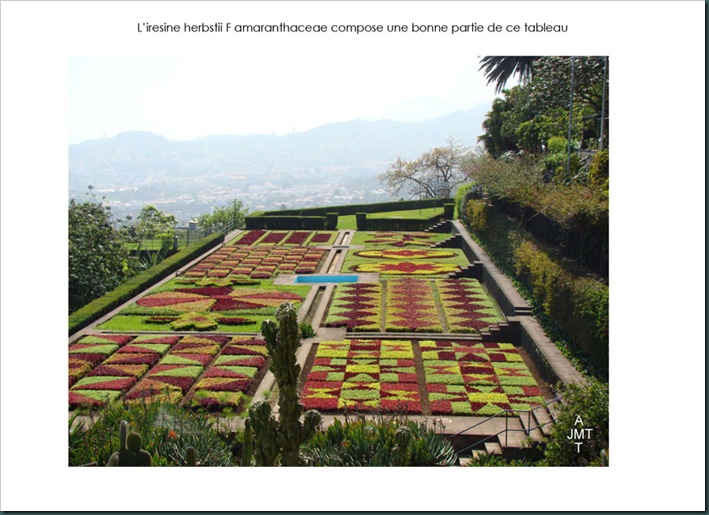 16-funchal,-le-jardin-botanique 4 page 1BW