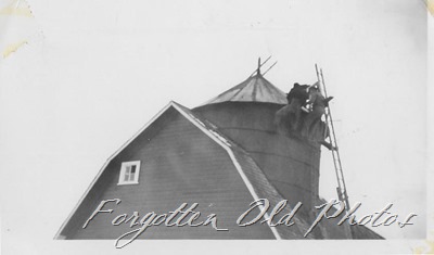 men on top of barn Verndale ant