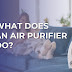 What Does an Air Purifier Do?