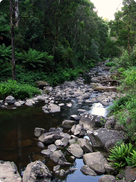 rocks
