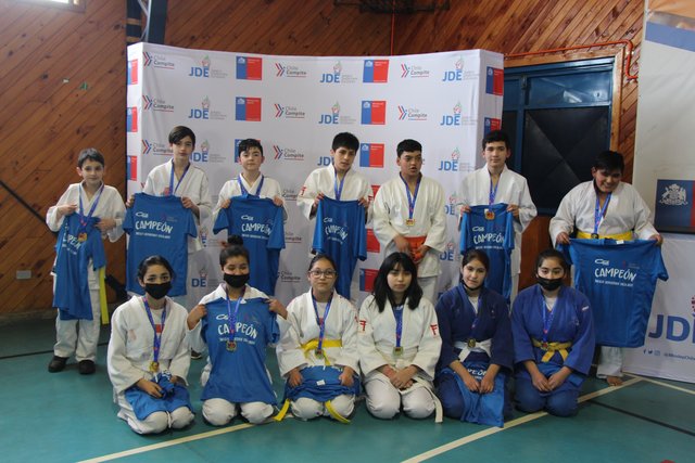 Mindep IND organiza el Segundo Campeonato Regional de Ajedrez Online  Escolar - Osorno en la Red