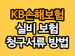 kb손해보험 실비 보험 청구 서류 및 방법 절차 다운로드