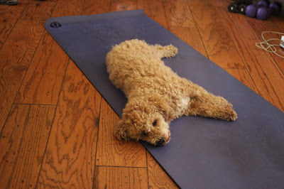 Yogi on a yoga mat