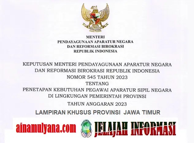 Penetapan Rincian Kebutuhan atau Formasi ASN PPPK Provinsi  Jawa Timur Tahun 2023 pdf
