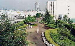 Roof garden in Chicago, green roofs, clean air