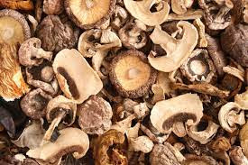 Dried Mushroom Supplier In Shaikh Salar