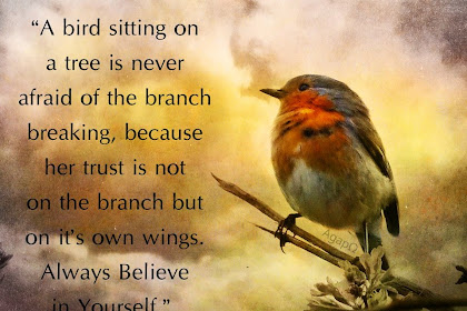 70+ Inspirational Bird Quotes In English