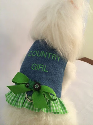 COUNTRY GIRL DENIM WITH GREEN GINGHAM HARNESS DRESS