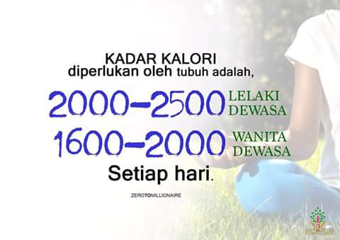 Cara Kira Kalori Makanan Harian Untuk Diet Lelaki Perempuan
