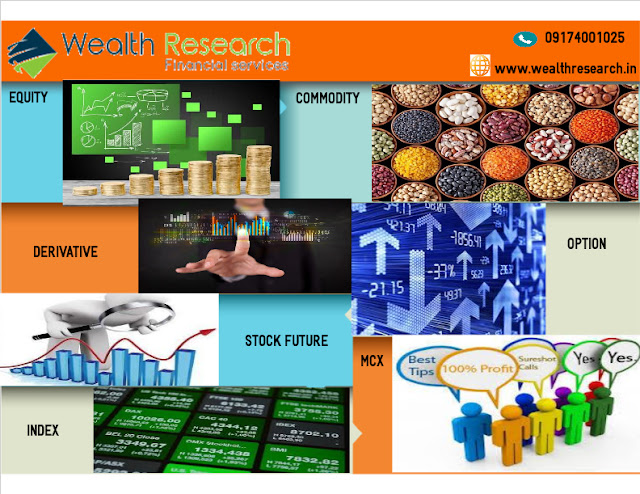 www.wealthresearch.in