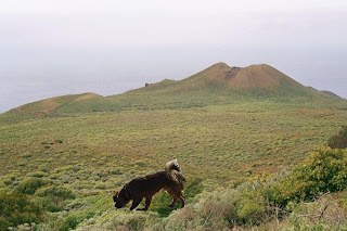 Turismo en El Hierro