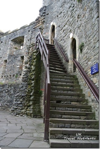 Cardiff Castle卡地夫城堡 (30)
