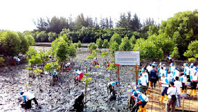 Coastal Clean Up