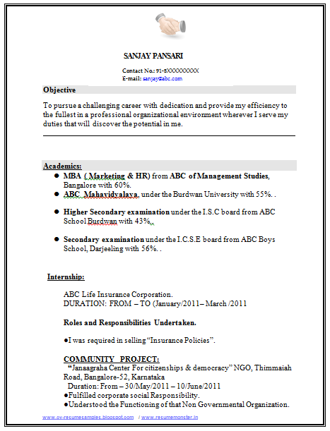 Over 10000 CV and Resume Samples with Free Download ...