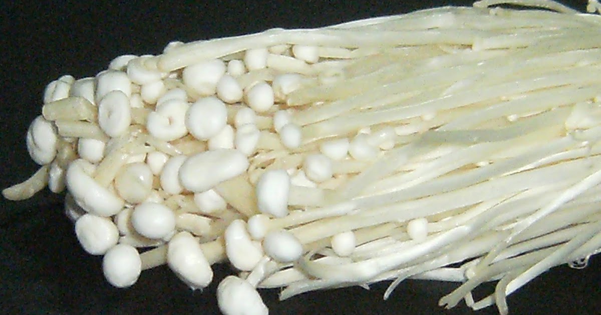 BroZam CubaTry: ENOKI MASAK HALIA